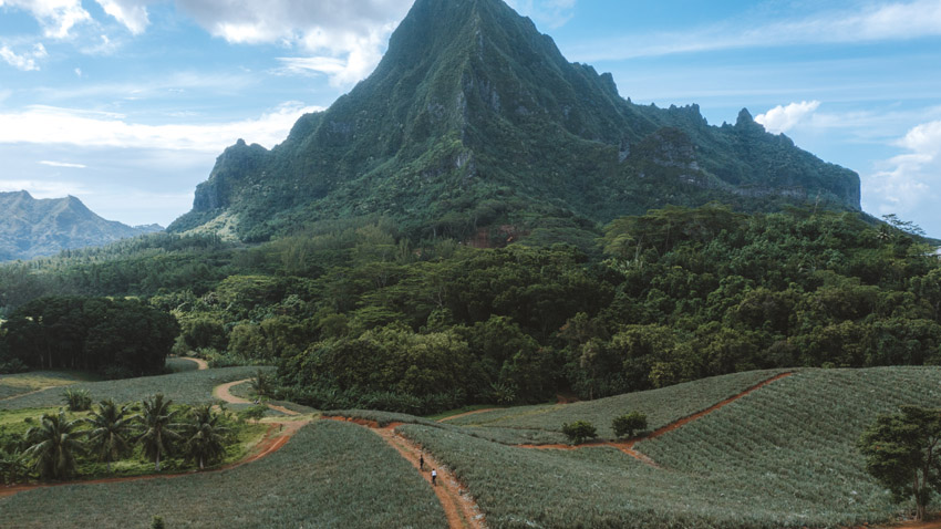 Moorea ride Motocross Tour French Polynesia Opunohu Cook